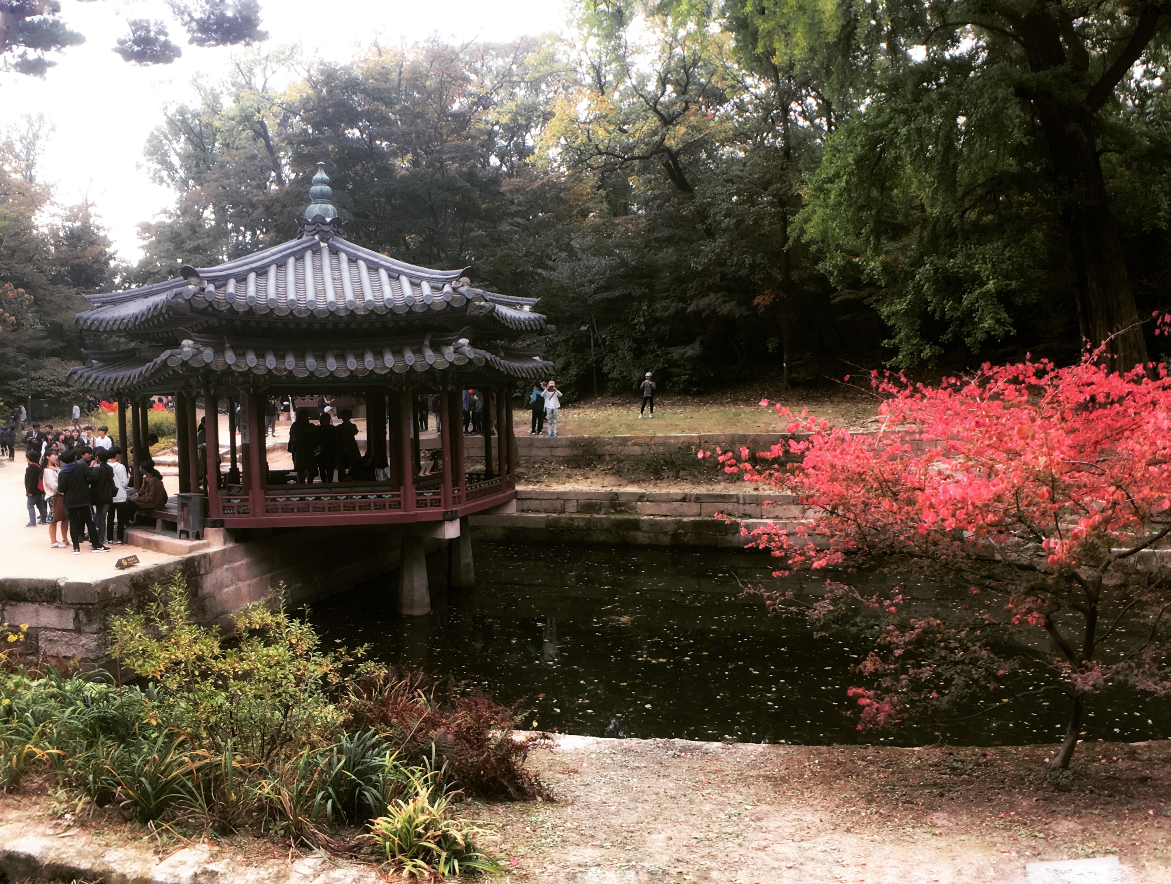 When is the Best Time to Travel to Korea? The Ultimate Seasonal Guide